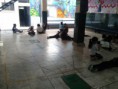 /album/fotogaleria-oferta-educativa/a2013-05-22-10-03-52-jpg/